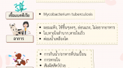 วัณโรคในสัตว์ TUBERCULOSIS,TB