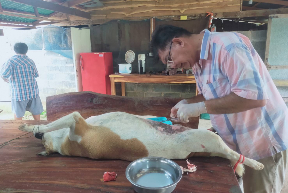 "ปศุสัตว์อำเภอเรณูนครบริการรักษาพยาบาลสัตว์ ผ่าตัดมดลูกอักเสบสุนัขตัวเมีย ให้แก่เกษตรกรผู้เลี้ยงสุนัข''